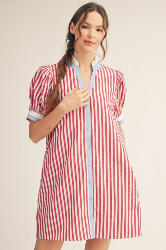 Liberty Lover Mini Dress