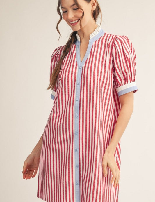 Liberty Lover Mini Dress