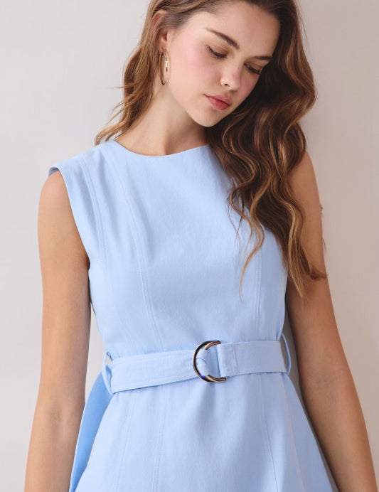 Pretty Poise Mini Dress - Blue