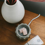 Wax bar melts